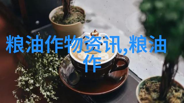 蛋鸡中暑的预防措施